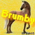 Brumby (fish85)
